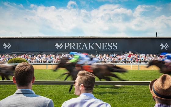 Preakness On the track photo